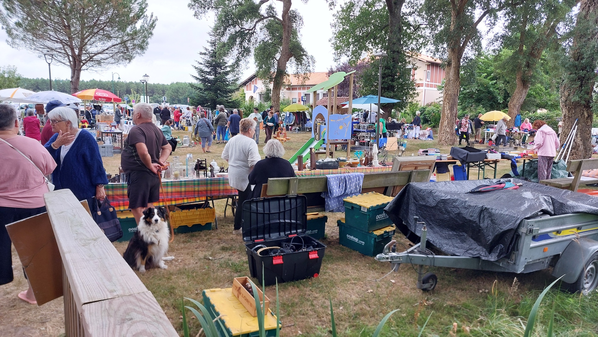 2025_07_20 vide grenier (11).jpg